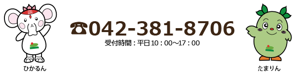 042-381-8706