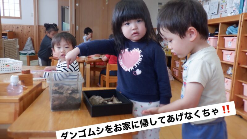 今日の乳児組