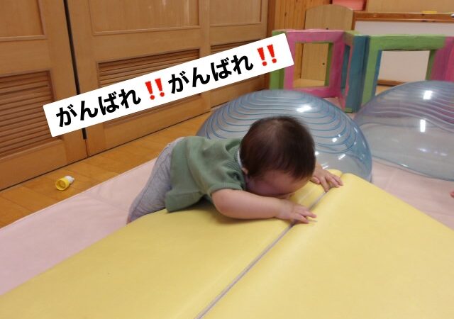 今日の乳児組