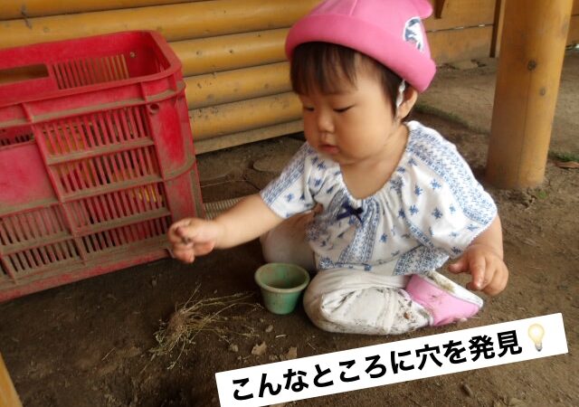 今日の乳児組