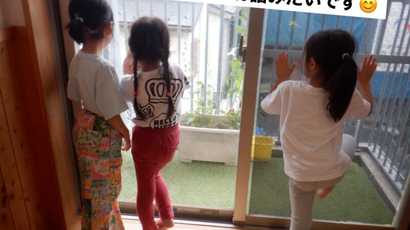 今日の幼児組